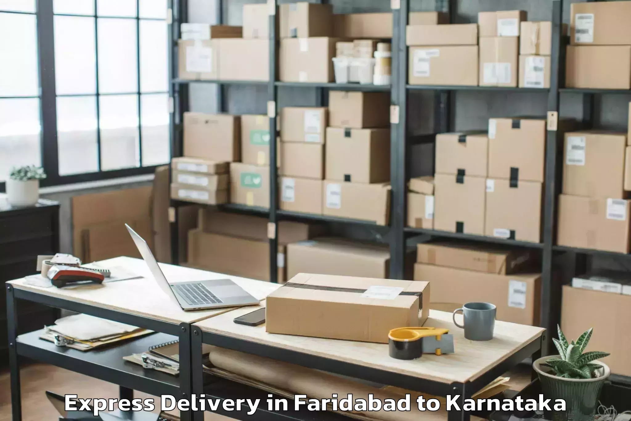 Hassle-Free Faridabad to Harpanahalli Express Delivery